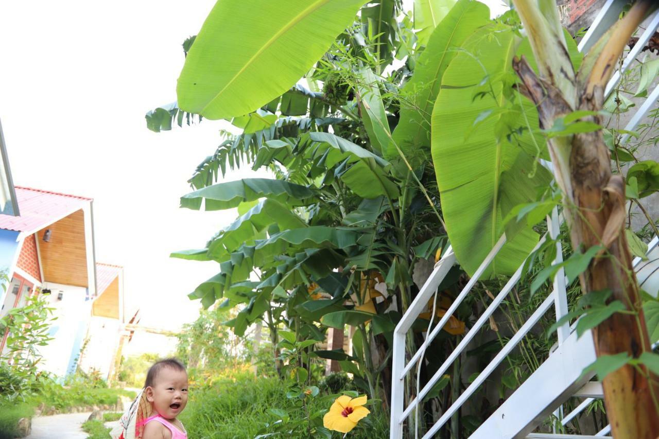 Phong Nha Friendly Home Esterno foto